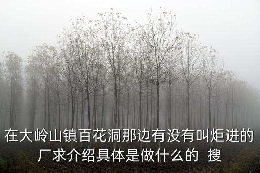 在大嶺山鎮百花洞那邊有沒有叫炬進的廠求介紹具體是做什么的  搜