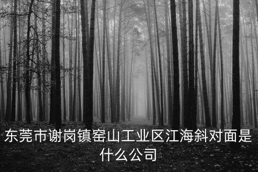 東莞市謝崗鎮窯山工業區江海斜對面是什么公司