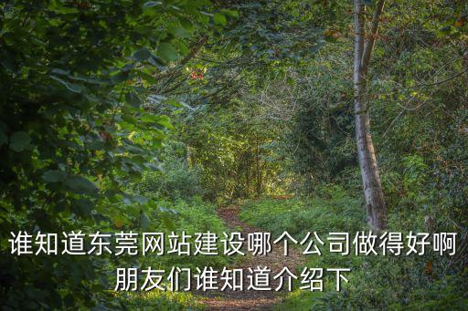 東莞市超越，東莞寥步有一家 超越健身館 如何大家有人去過嗎