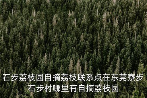 東莞寮步的農莊，石步荔枝園自摘荔枝聯系點在東莞寮步石步村哪里有自摘荔枝園