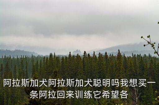 阿拉斯加聰明嗎，阿拉加斯犬聰明嗎