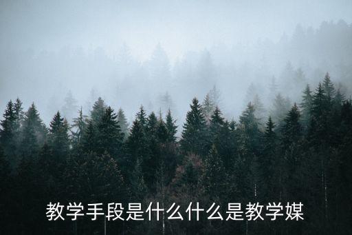 教學手段是什么什么是教學媒