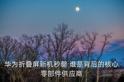 華為折疊屏新機秒罄 誰是背后的核心零部件供應商