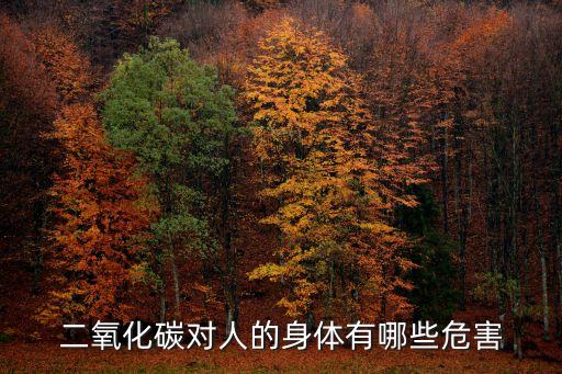 二氧化碳對人的身體有哪些危害