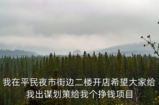 我在平民夜市街邊二樓開店希望大家給我出謀劃策給我個掙錢項目