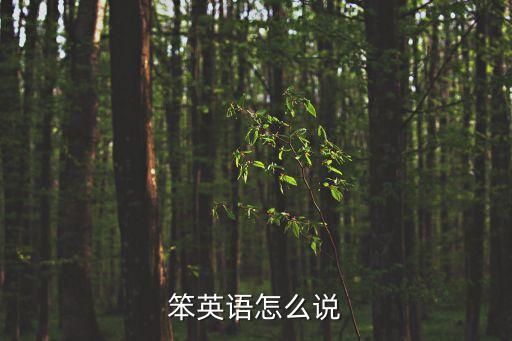 笨的英語， 笨用英語怎么說