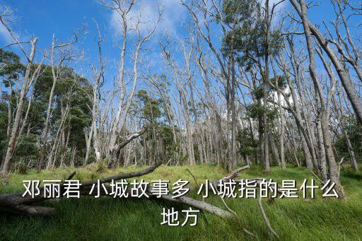 鄧麗君小城故事，鄧麗君是哪一年的作品