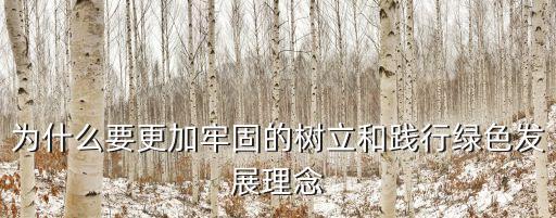 為什么要更加牢固的樹立和踐行綠色發展理念