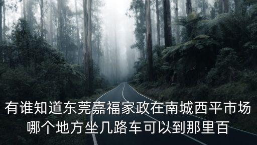 有誰知道東莞嘉福家政在南城西平市場哪個地方坐幾路車可以到那里百