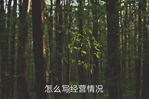 怎么寫經營情況