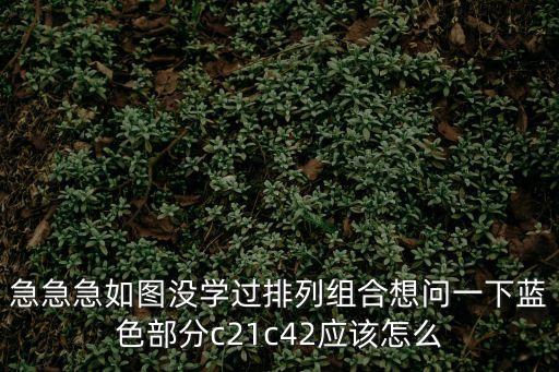 急急急如圖沒學過排列組合想問一下藍色部分c21c42應該怎么