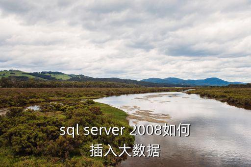 sql server 2008如何插入大數據
