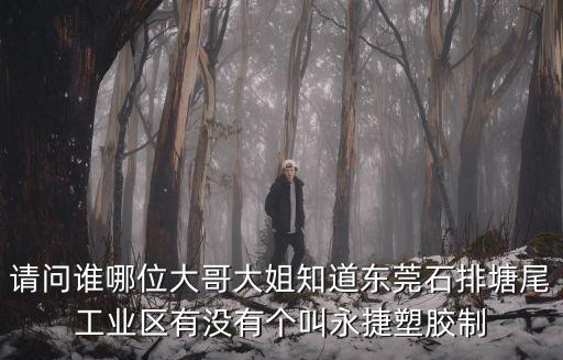 請問誰哪位大哥大姐知道東莞石排塘尾工業區有沒有個叫永捷塑膠制