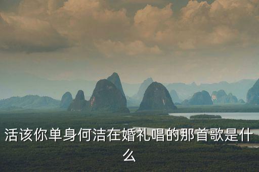 活該你單身何潔在婚禮唱的那首歌是什么
