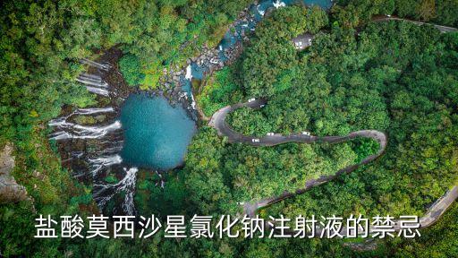 莫西沙星注射液，鹽酸莫西沙星氯化鈉注射液的禁忌