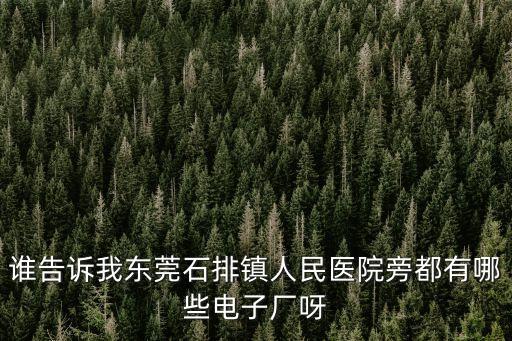東莞市石排鎮廠，誰告訴我東莞石排鎮人民醫院旁都有哪些電子廠呀