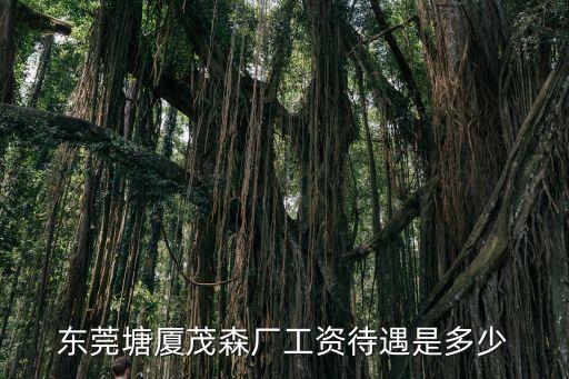 東莞塘廈茂森廠工資待遇是多少