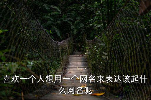 喜歡一個人想用一個網名來表達該起什么網名呢