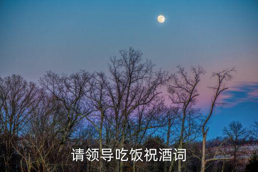 請領導吃飯祝酒詞