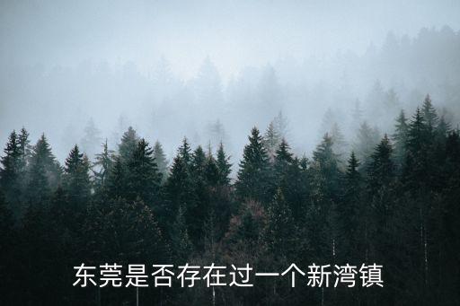東莞港 濱海灣新區，東莞虎門鎮新灣區郵政編號多少
