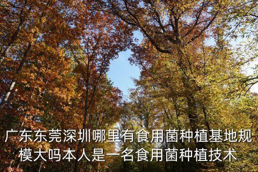 東莞那里有金針菇廠，東莞那有出產金針菇新鮮蘑菇廠家