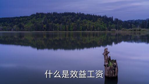 什么是效益工資