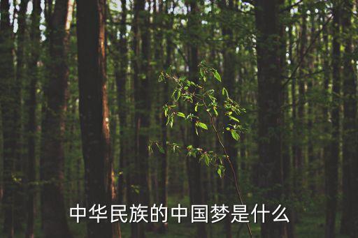 中華夢，中國夢是什么呀