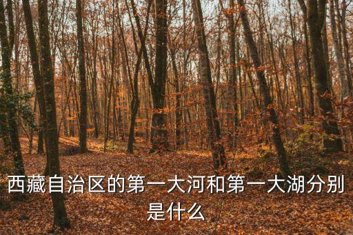 西藏自治區(qū)的第一大河和第一大湖分別是什么