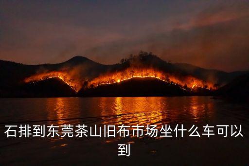 石排到東莞茶山舊布市場坐什么車可以到