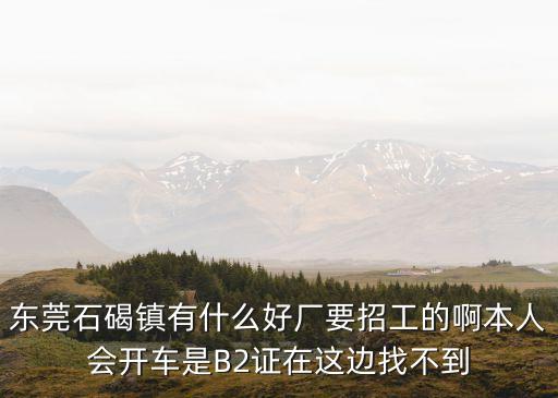 東莞石碣鎮有什么好廠要招工的啊本人會開車是B2證在這邊找不到
