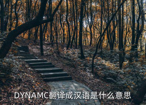 DYNAMC翻譯成漢語是什么意思