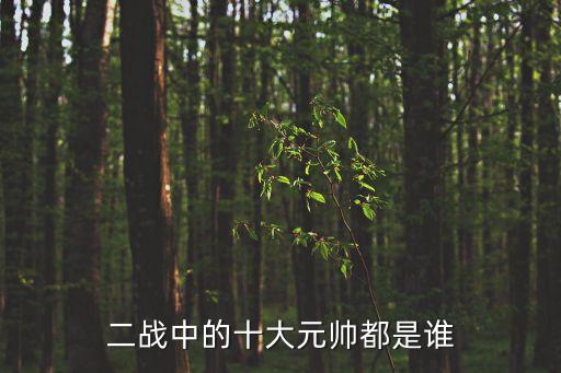 二戰中的十大元帥都是誰