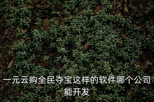一元云購(gòu)全民奪寶這樣的軟件哪個(gè)公司能開發(fā)
