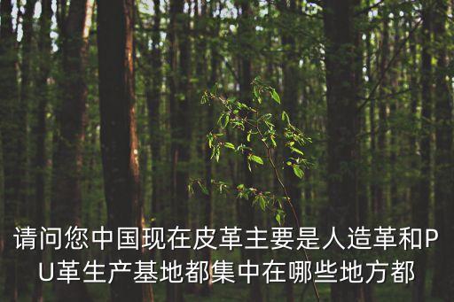 請問您中國現(xiàn)在皮革主要是人造革和PU革生產(chǎn)基地都集中在哪些地方都