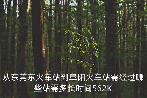 從東莞東火車站到阜陽火車站需經過哪些站需多長時間562K