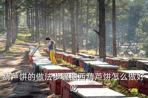 西葫蘆餅，西葫蘆餅的做法