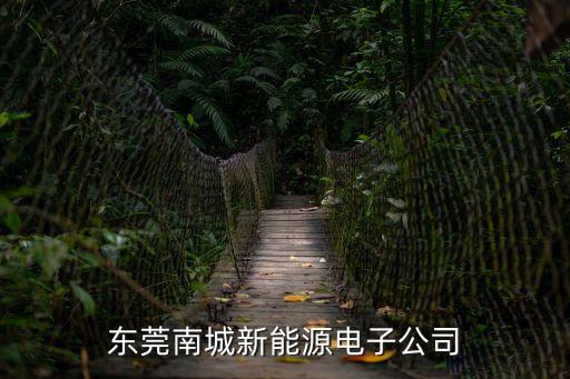 東莞南城麗能廠，東莞南城新能源電子廠待遇好不好