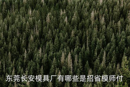東莞長安模具廠有哪些是招省模師付