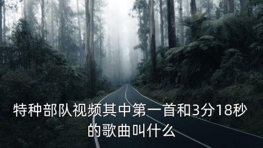 特種部隊視頻其中第一首和3分18秒的歌曲叫什么