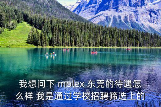 東莞新波特工資怎么樣，我想問下 molex 東莞的待遇怎么樣 我是通過學(xué)校招聘篩選上的