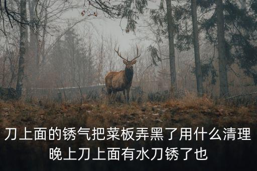 澳賓水刀拉皮 東莞，刀上面的銹氣把菜板弄黑了用什么清理晚上刀上面有水刀銹了也