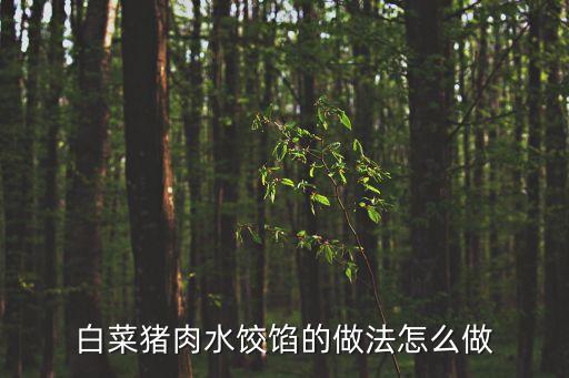 白菜豬肉水餃餡的做法怎么做