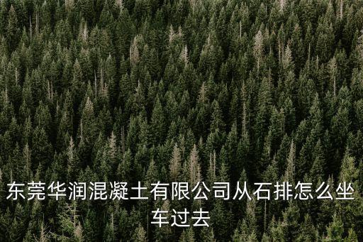 東莞華潤混凝土有限公司從石排怎么坐車過去
