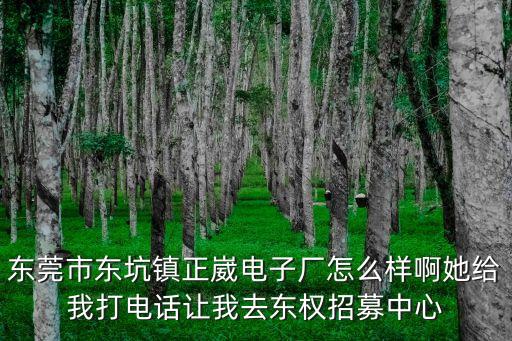 東莞市東坑鎮(zhèn)正崴電子廠怎么樣啊她給我打電話讓我去東權招募中心