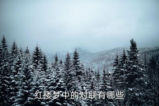 紅樓夢對聯，紅樓夢中的對聯有哪些