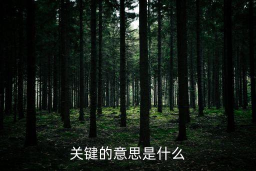 關鍵詞的意思，問問的關鍵詞的什么意思