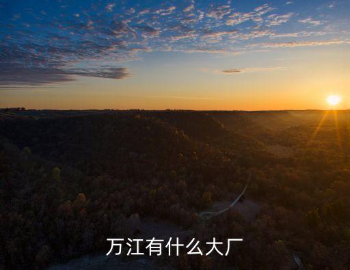 東莞萬江有最大什么廠，萬江有什么大廠