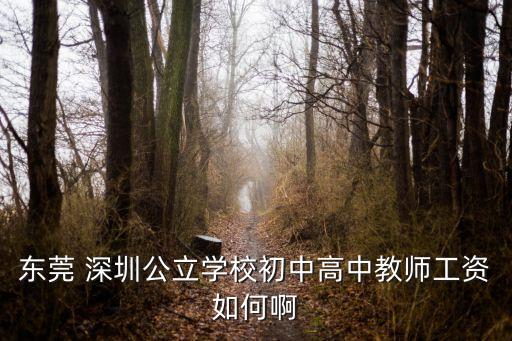 東莞 深圳公立學校初中高中教師工資如何啊