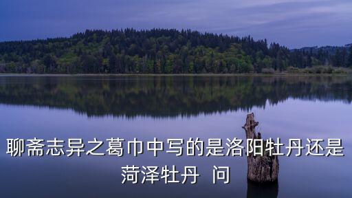 聊齋志異之葛巾中寫的是洛陽牡丹還是菏澤牡丹  問