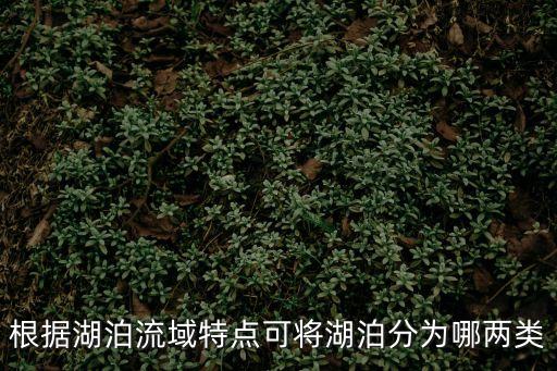 根據(jù)湖泊流域特點可將湖泊分為哪兩類